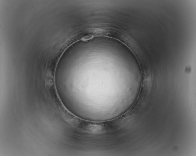 X0000113220469200909241452