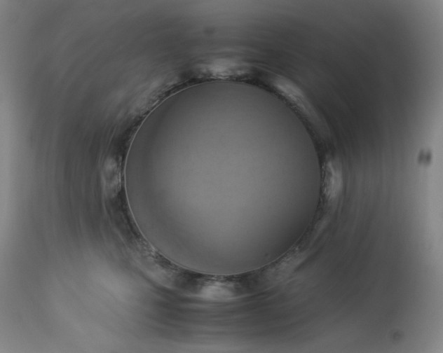 X0000113220471200909241452