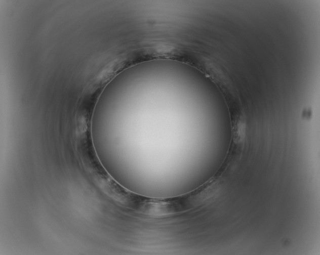 X0000113220472200909241452