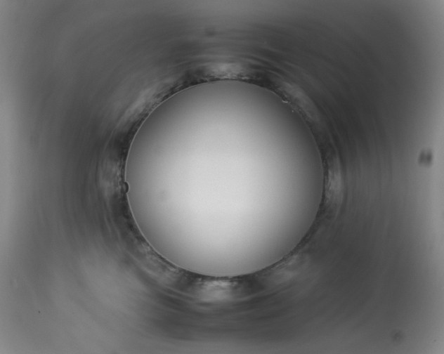 X0000113220473200909241452