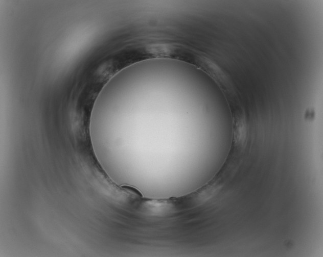 X0000113220477200909241452