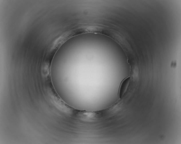 X0000113220478200909241452