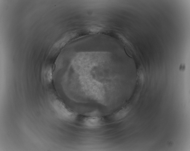 X0000113220479200909241452