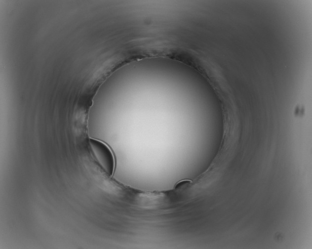 X0000113220480200909241452