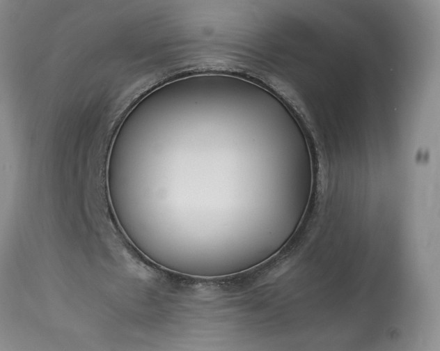 X0000113220481200909241452