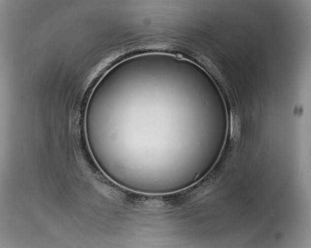 X0000113220483200909241452