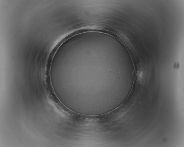 X0000113220484200909241452