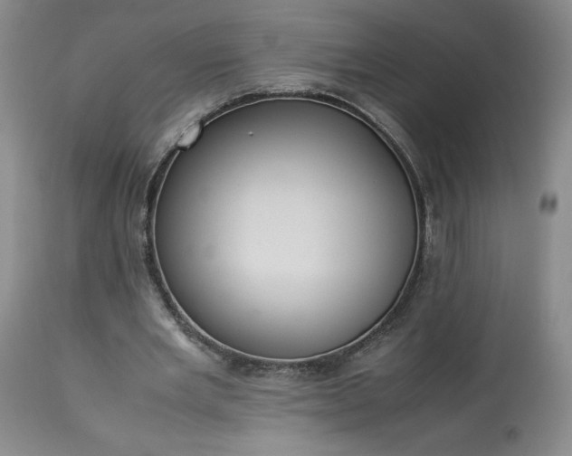 X0000113220485200909241452