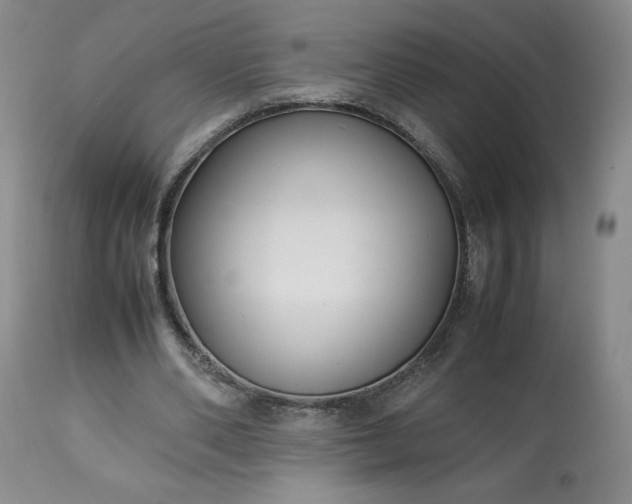 X0000113220486200909241451