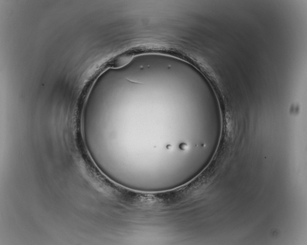 X0000113220487200909241451