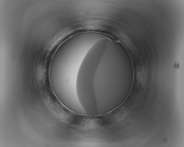 X0000113220488200909241451