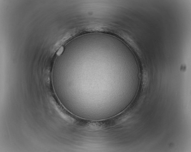 X0000113220489200909241451