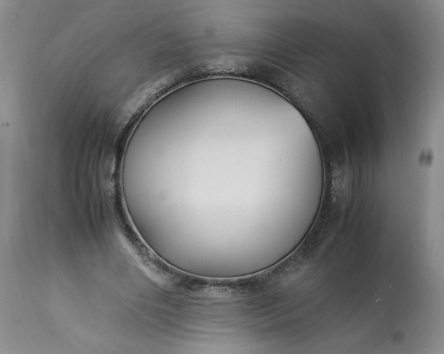 X0000113220490200909241451