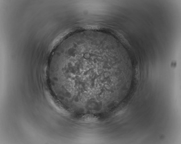 X0000113220491200909241451