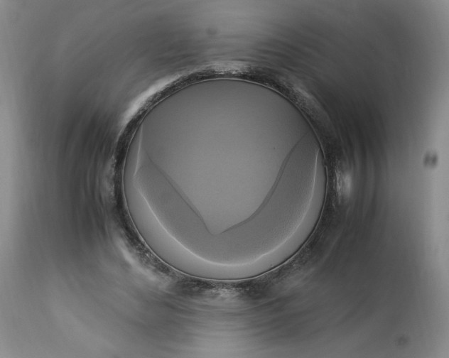 X0000113220492200909241451