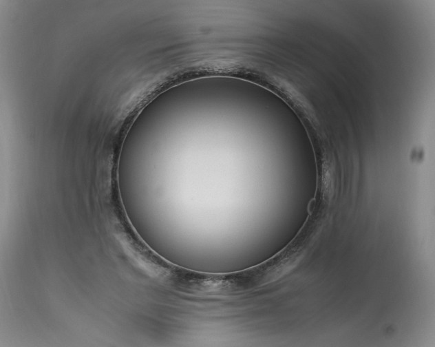 X0000113220493200909241451