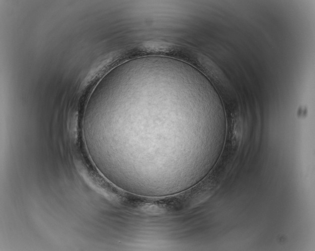 X0000113220494200909241451