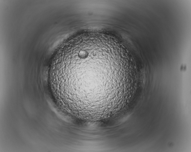 X0000113220495200909241451