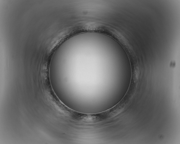 X0000113220497200909241451