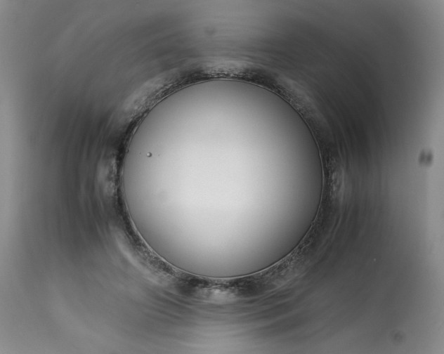 X0000113220498200909241451