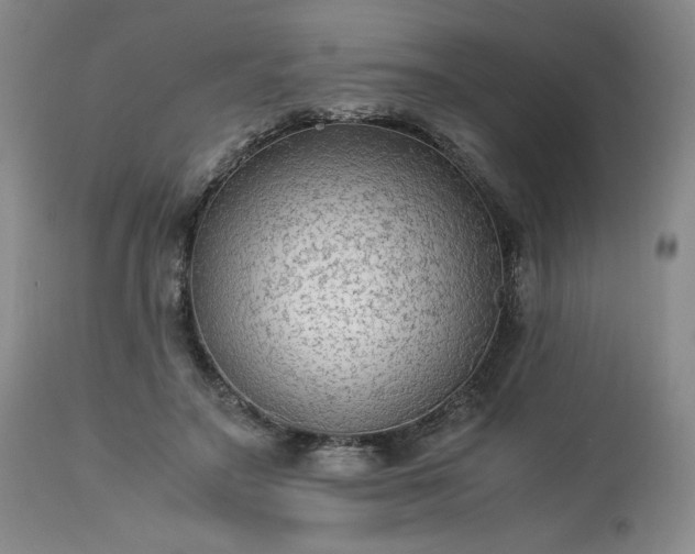 X0000113220499200909241451