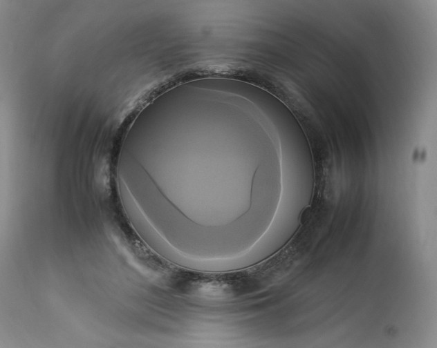 X0000113220500200909241451