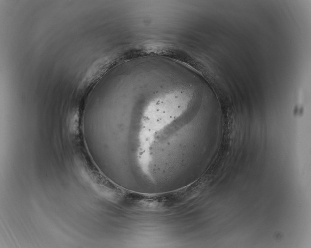 X0000113220502200909241451