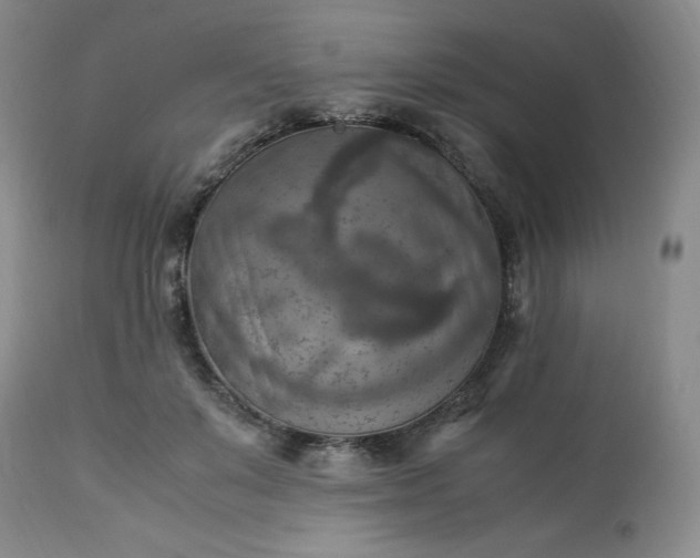 X0000113220503200909241451