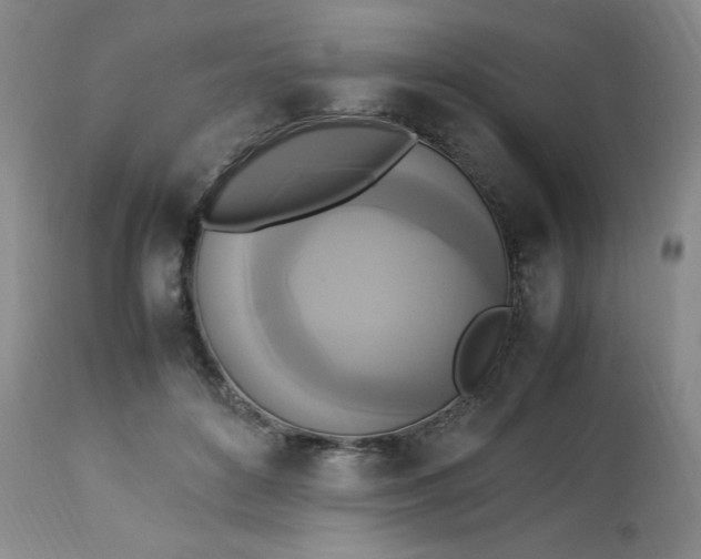 X0000113220504200909241451