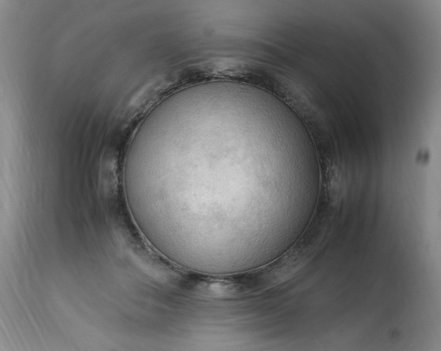 X0000113220506200909241451