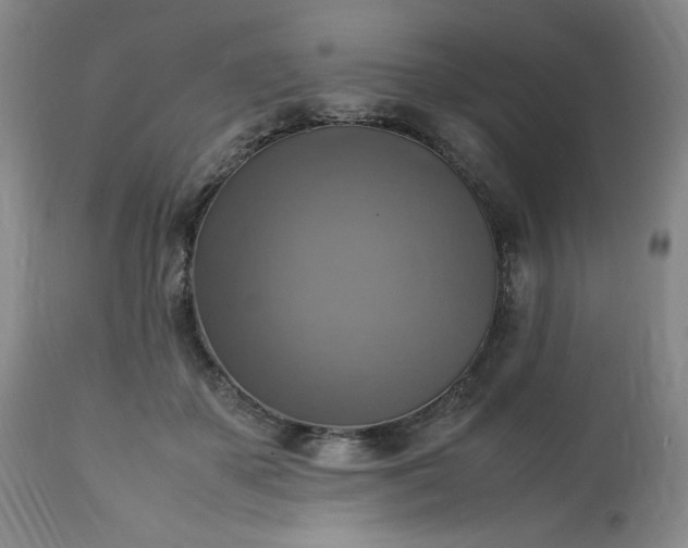 X0000113220507200909241451