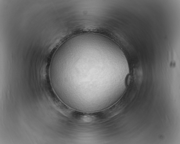 X0000113220508200909241451