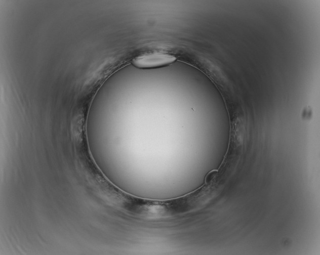 X0000113220509200909241451