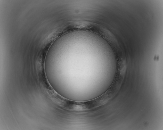 X0000113220510200909241451