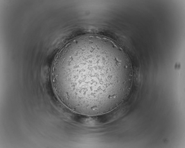 X0000113220511200909241451