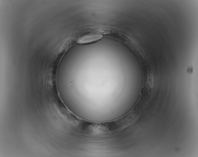 X0000113220512200909241451