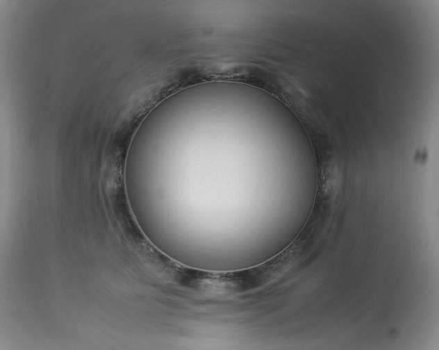 X0000113220515200909241451