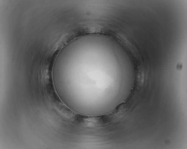 X0000113220516200909241451