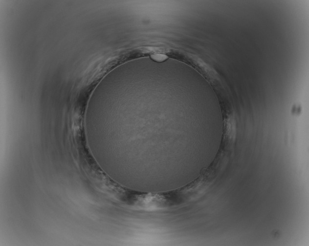 X0000113220517200909241451