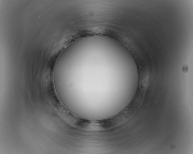 X0000113220518200909241451