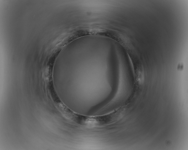 X0000113220519200909241451