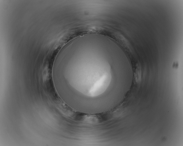 X0000113220520200909241451