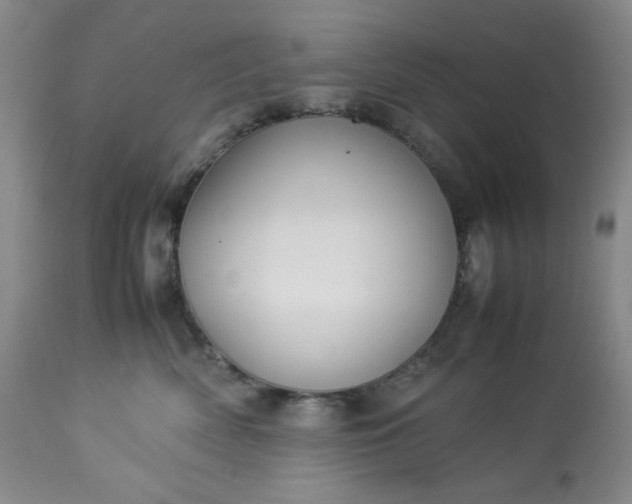 X0000113220522200909241451