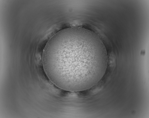 X0000113220523200909241451