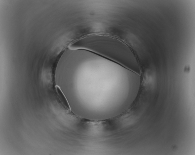 X0000113220524200909241451