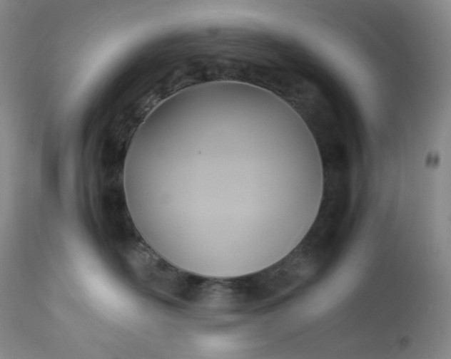 X0000113220526200909241451