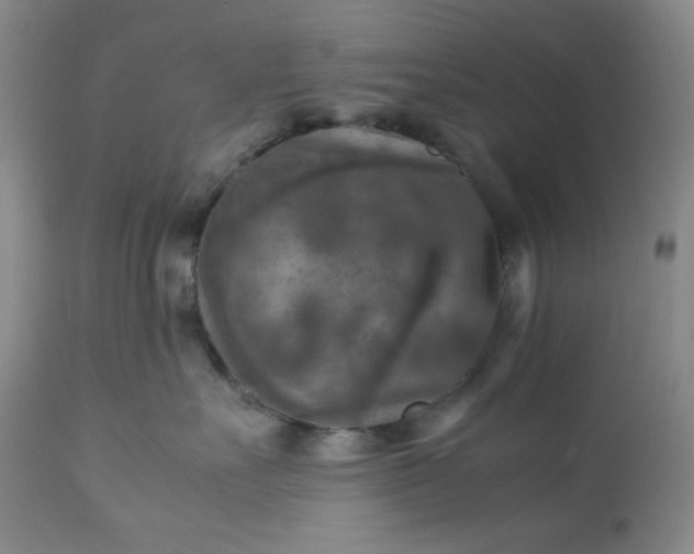 X0000113220527200909241451