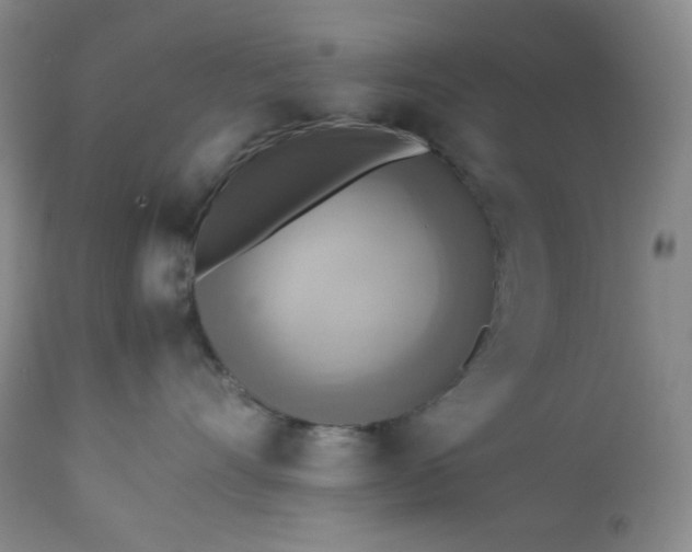 X0000113220528200909241451