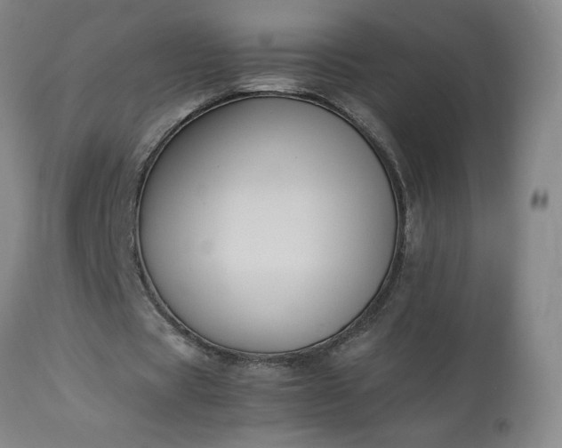 X0000113220529200909241450