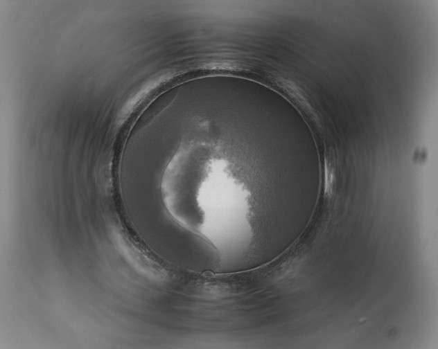 X0000113220531200909241450